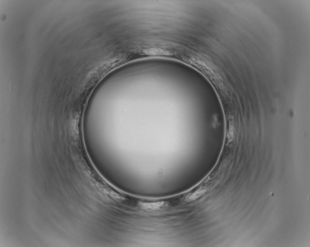 X0000088020461200705251056