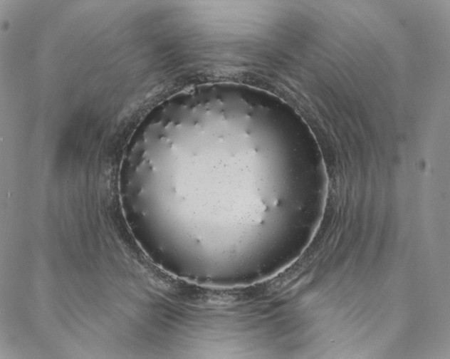 X0000088020462200705251056