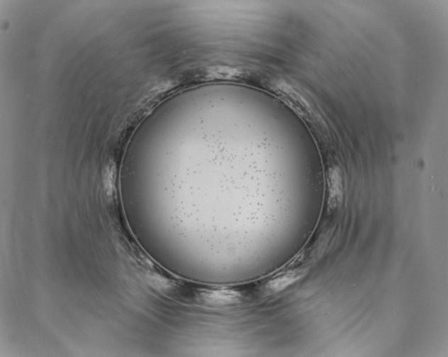 X0000088020463200705251056