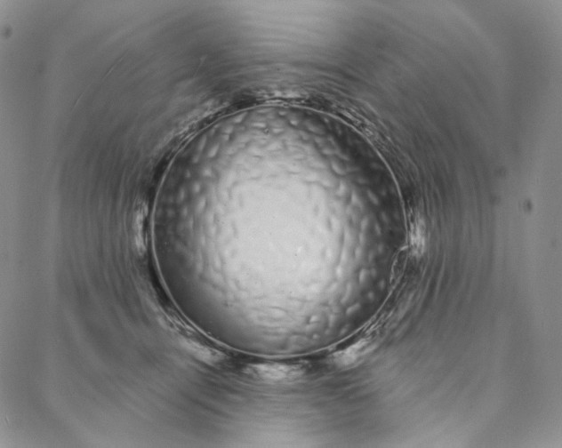 X0000088020464200705251056