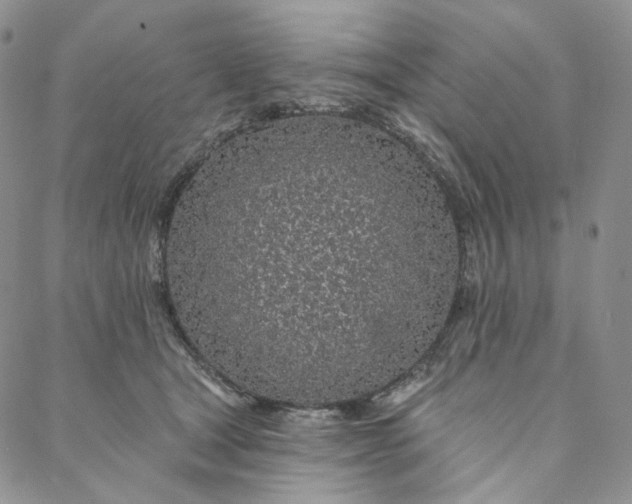 X0000088020465200705251056