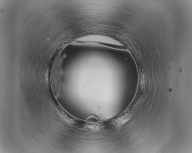 X0000088020466200705251056