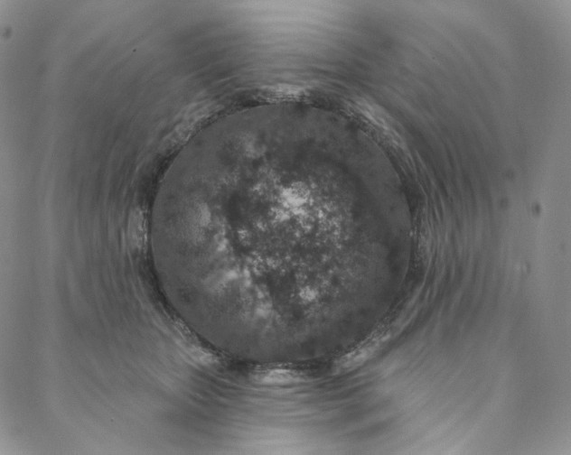 X0000088020467200705251056