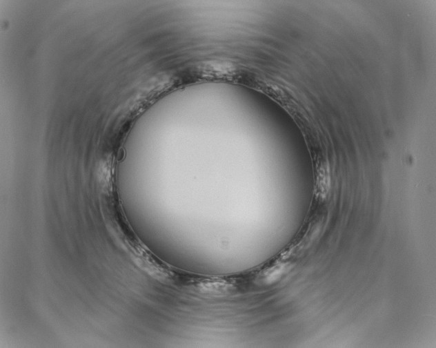 X0000088020468200705251056