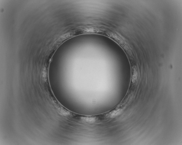 X0000088020469200705251056