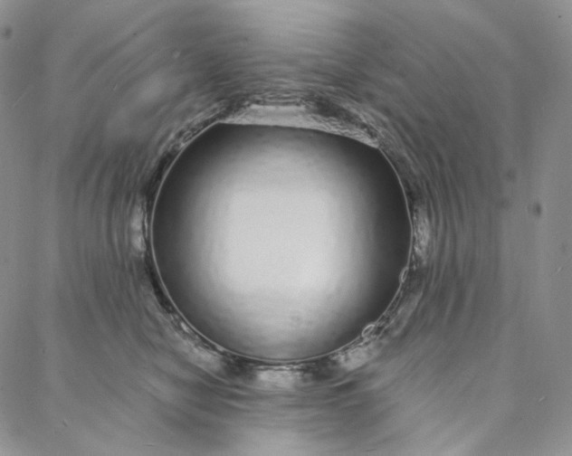 X0000088020470200705251056