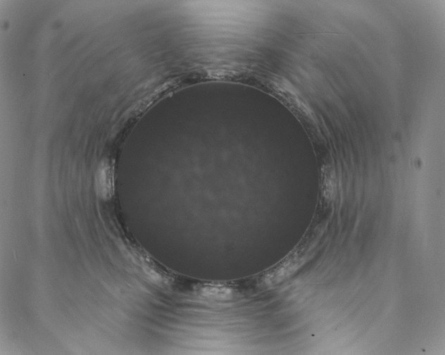 X0000088020471200705251056