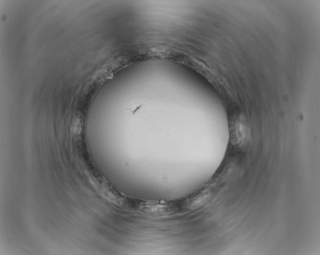 X0000088020472200705251056