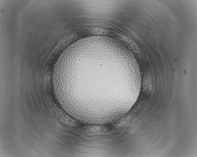 X0000088020473200705251056