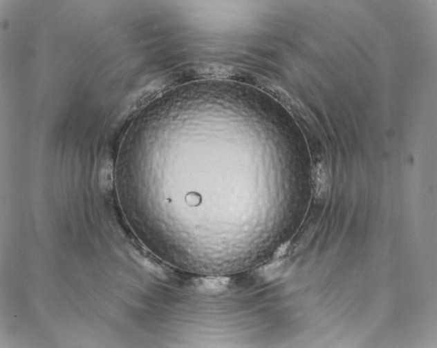 X0000088020474200705251056