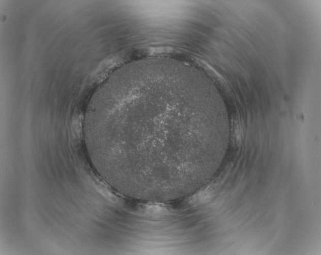 X0000088020475200705251056