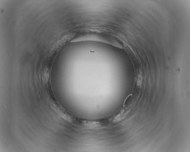 X0000088020476200705251056