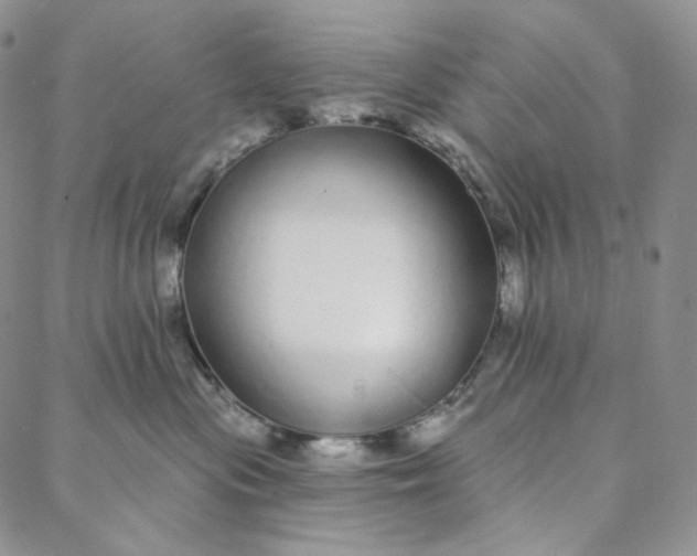 X0000088020477200705251056