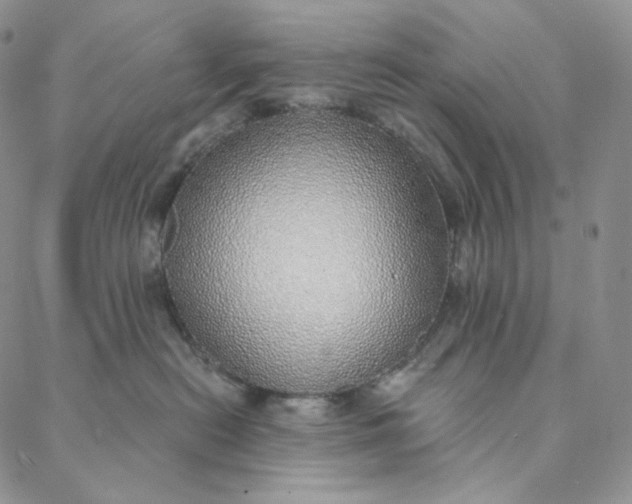 X0000088020478200705251056