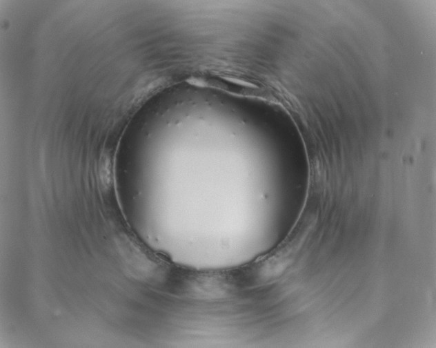 X0000088020479200705251056