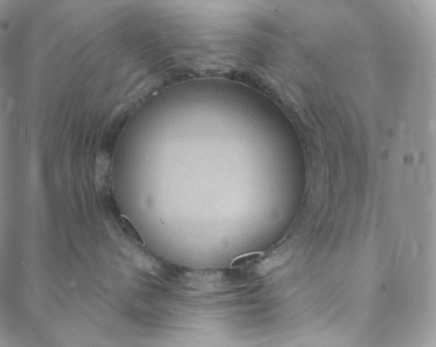 X0000088020480200705251056