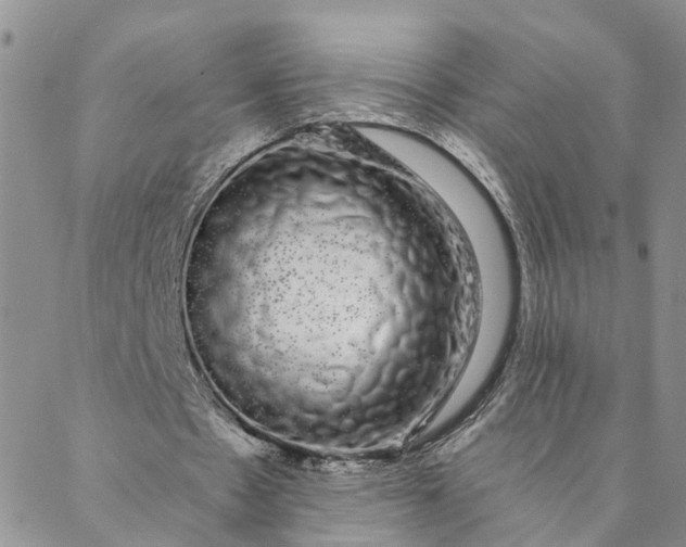 X0000088020481200705251055