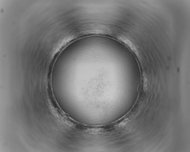 X0000088020482200705251055