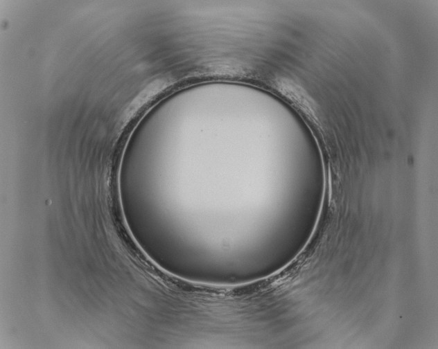 X0000088020483200705251055