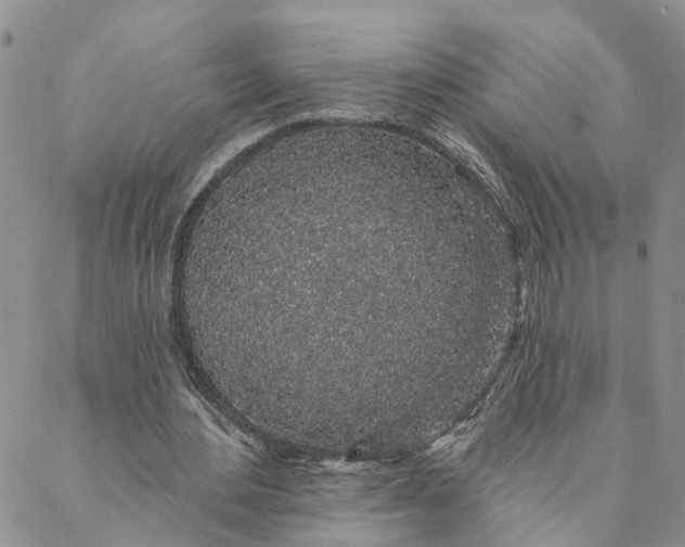 X0000088020484200705251055