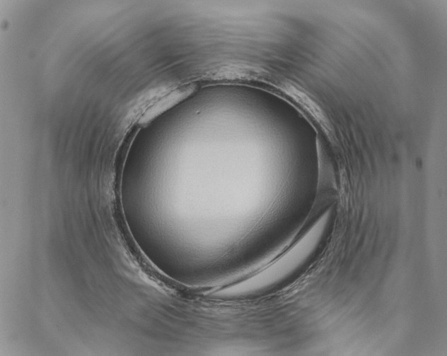 X0000088020485200705251055