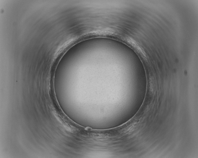 X0000088020486200705251055