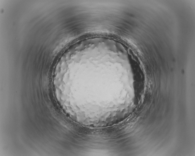 X0000088020487200705251055