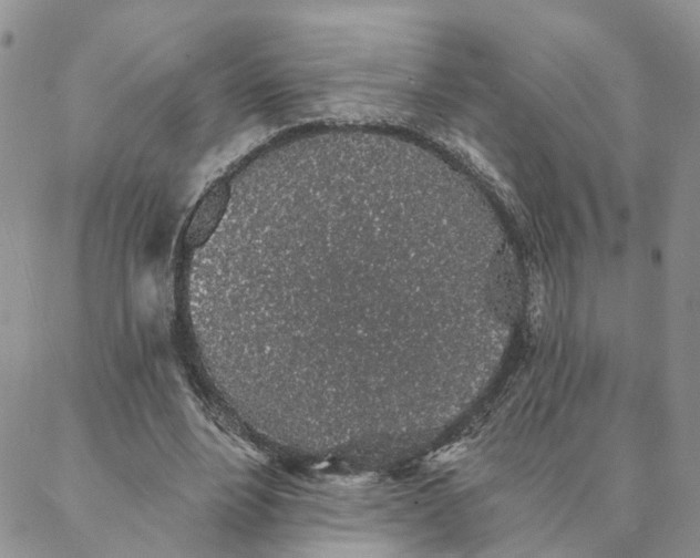 X0000088020488200705251055