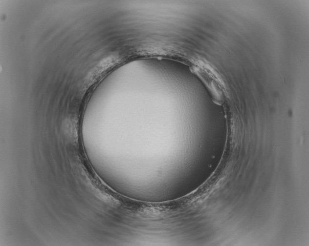 X0000088020489200705251055