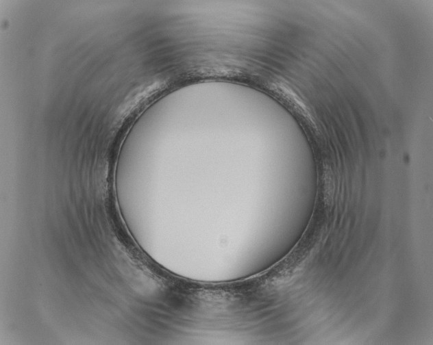 X0000088020490200705251055