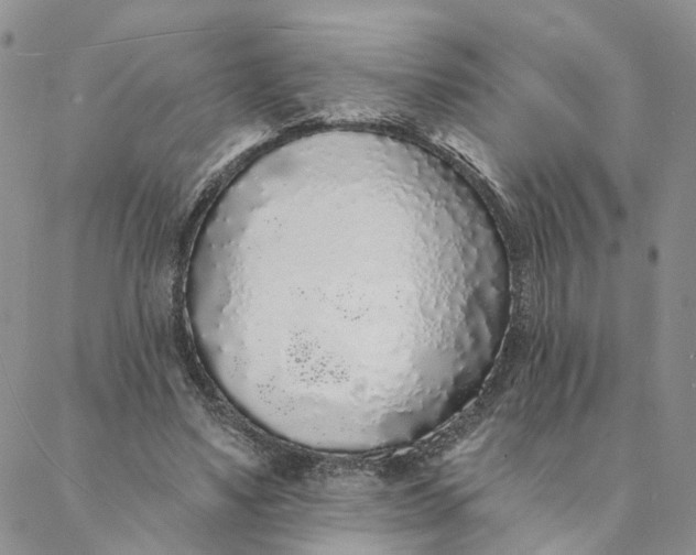 X0000088020491200705251055