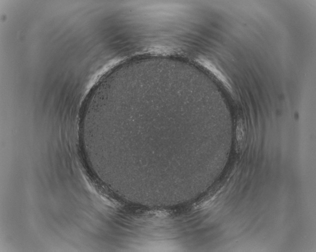 X0000088020492200705251055