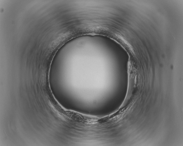 X0000088020493200705251055