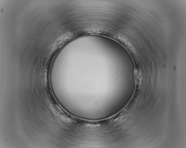 X0000088020494200705251055