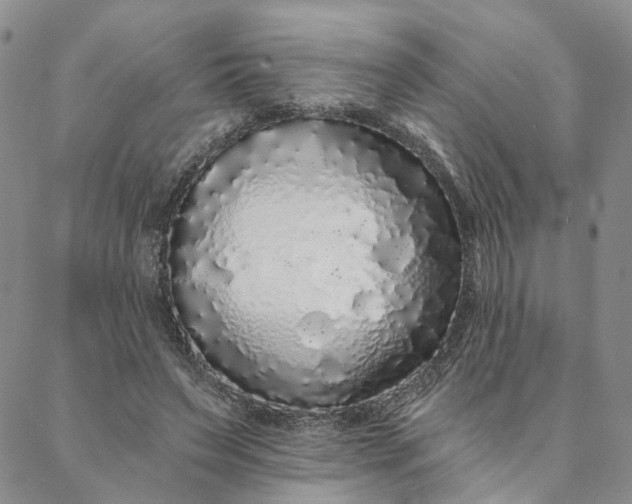 X0000088020495200705251055