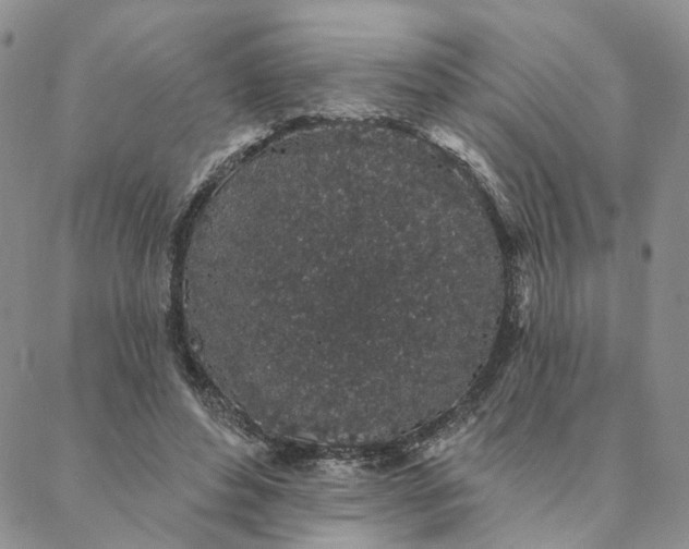 X0000088020496200705251055