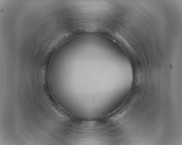 X0000088020497200705251055