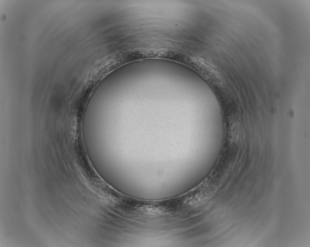 X0000088020498200705251055