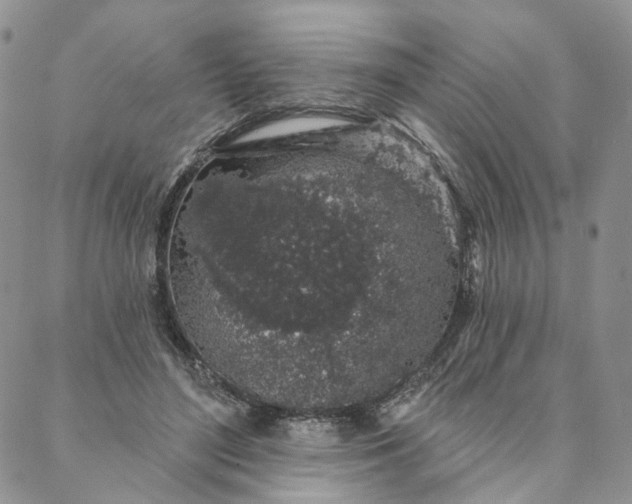 X0000088020500200705251055