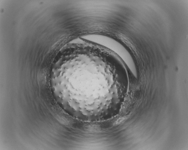 X0000088020501200705251055