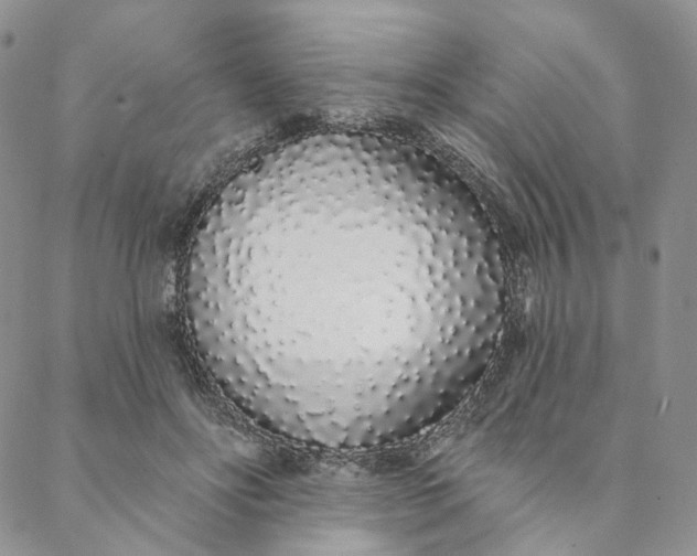 X0000088020502200705251055