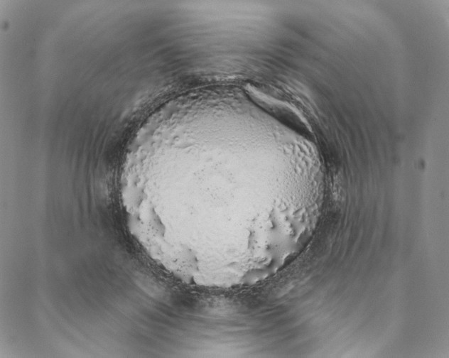 X0000088020503200705251055