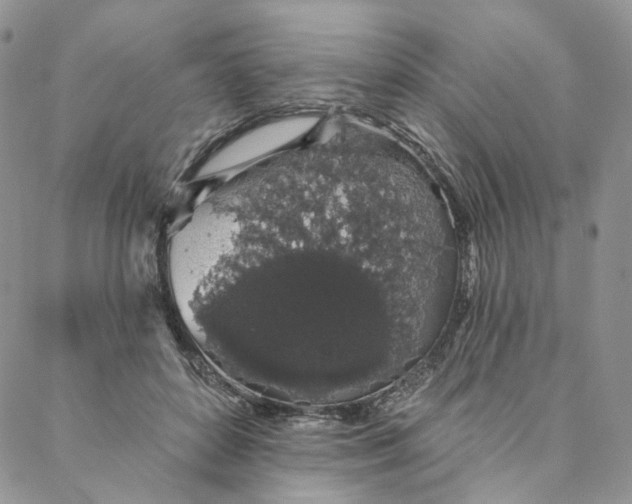 X0000088020504200705251055