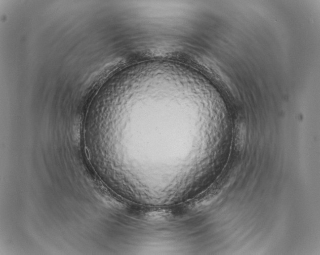 X0000088020505200705251055