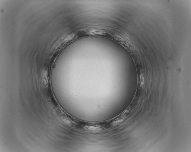 X0000088020506200705251055