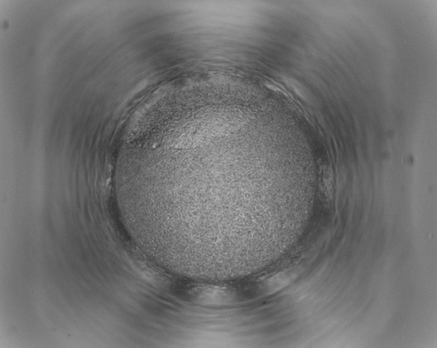 X0000088020507200705251055