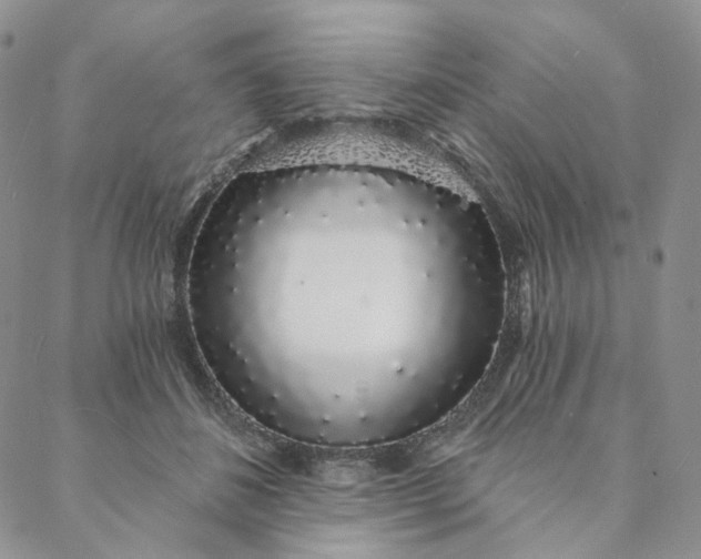 X0000088020508200705251055