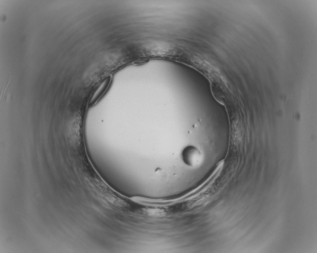 X0000088020509200705251055