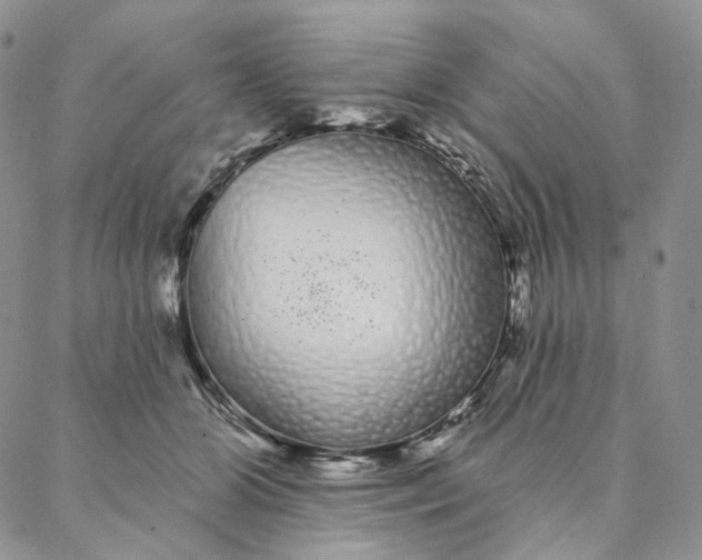 X0000088020510200705251055