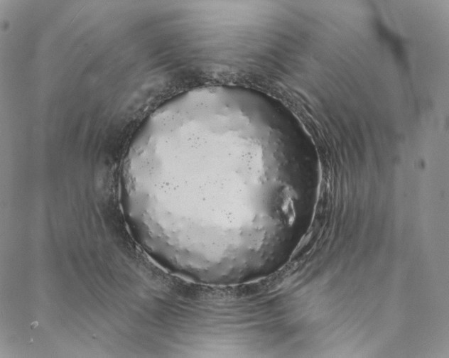 X0000088020511200705251055